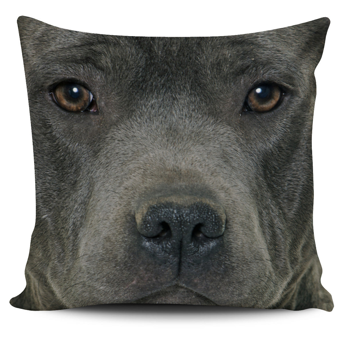 Pit Bull Face Pillow Cover