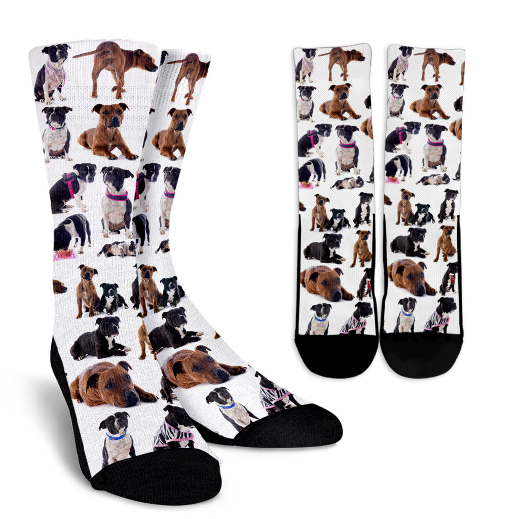 Pit Bull Pictures Crew Socks