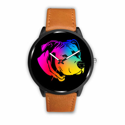 Rainbow Pit Watch