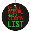 Reason Santa Has A Naughty List Ornament