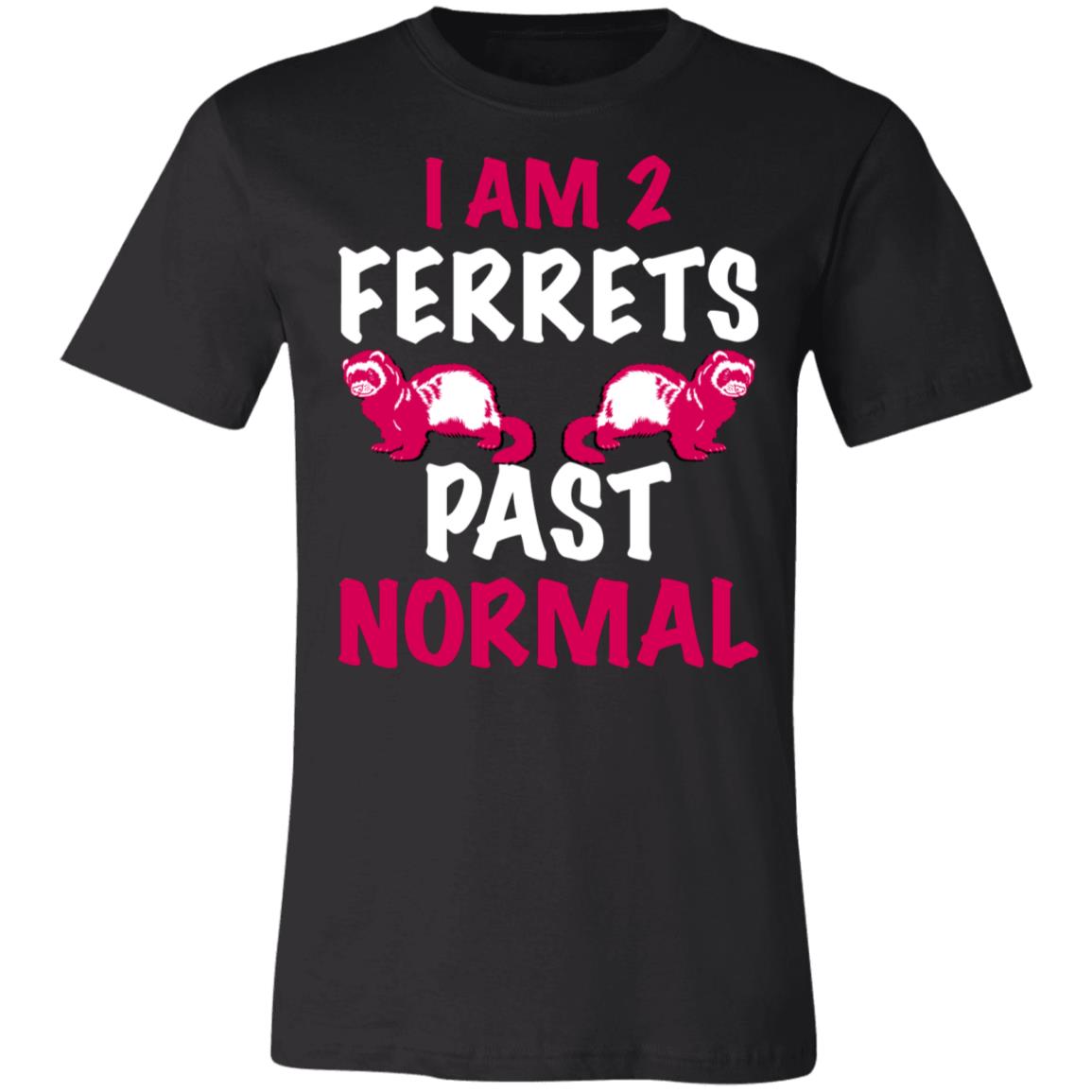 2 Ferrets Past Normal T-Shirt