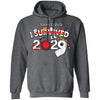 I Sanitized 2020 - Pullover Hoodie