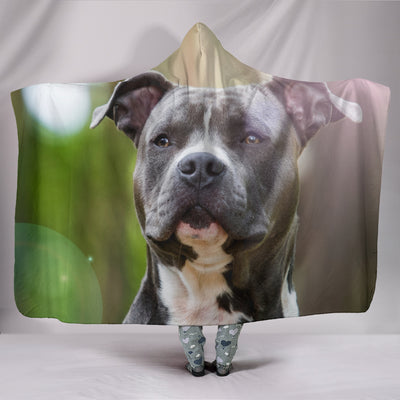 Attentive Pit Bull Hooded Blanket