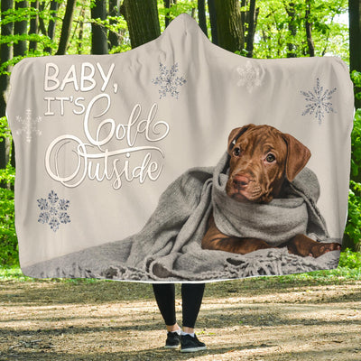 Baby it's Cold Outside Lab Hooded Blanket
