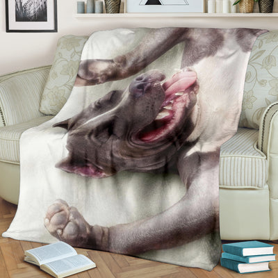 Happy Pit Premium Blanket