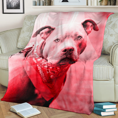 Pitbull Premium Blanket