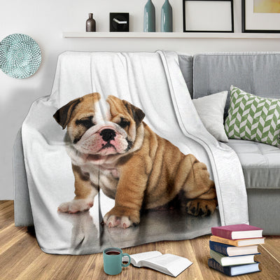 Bulldog Pup Premium Blanket