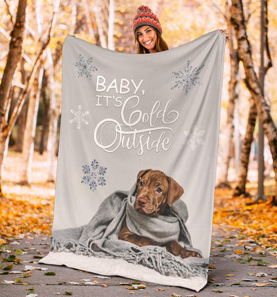 Baby it's Cold Outside Chocolate Lab Premium Blanket