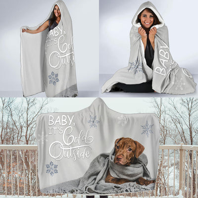 Baby it's Cold Outside Lab Hooded Blanket