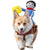 Cowboy Rider Pet Suit