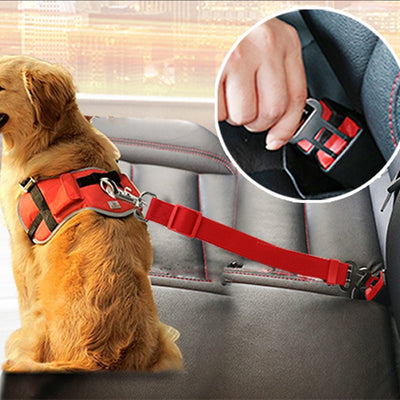 Dog Safety Belt